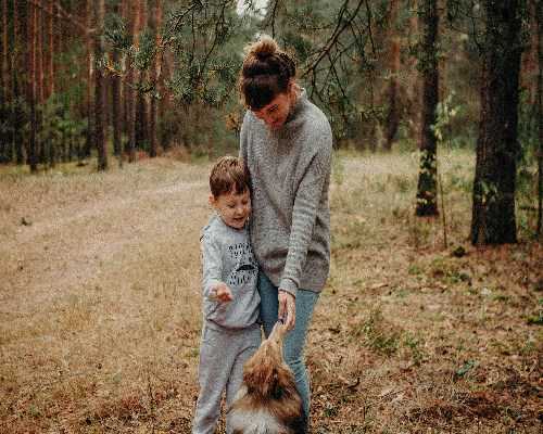 南京供卵能选卵妹么,南京合法的供卵机构有几家,南京第一二三代试管婴儿价格报销政策！费用与流程咋样的？